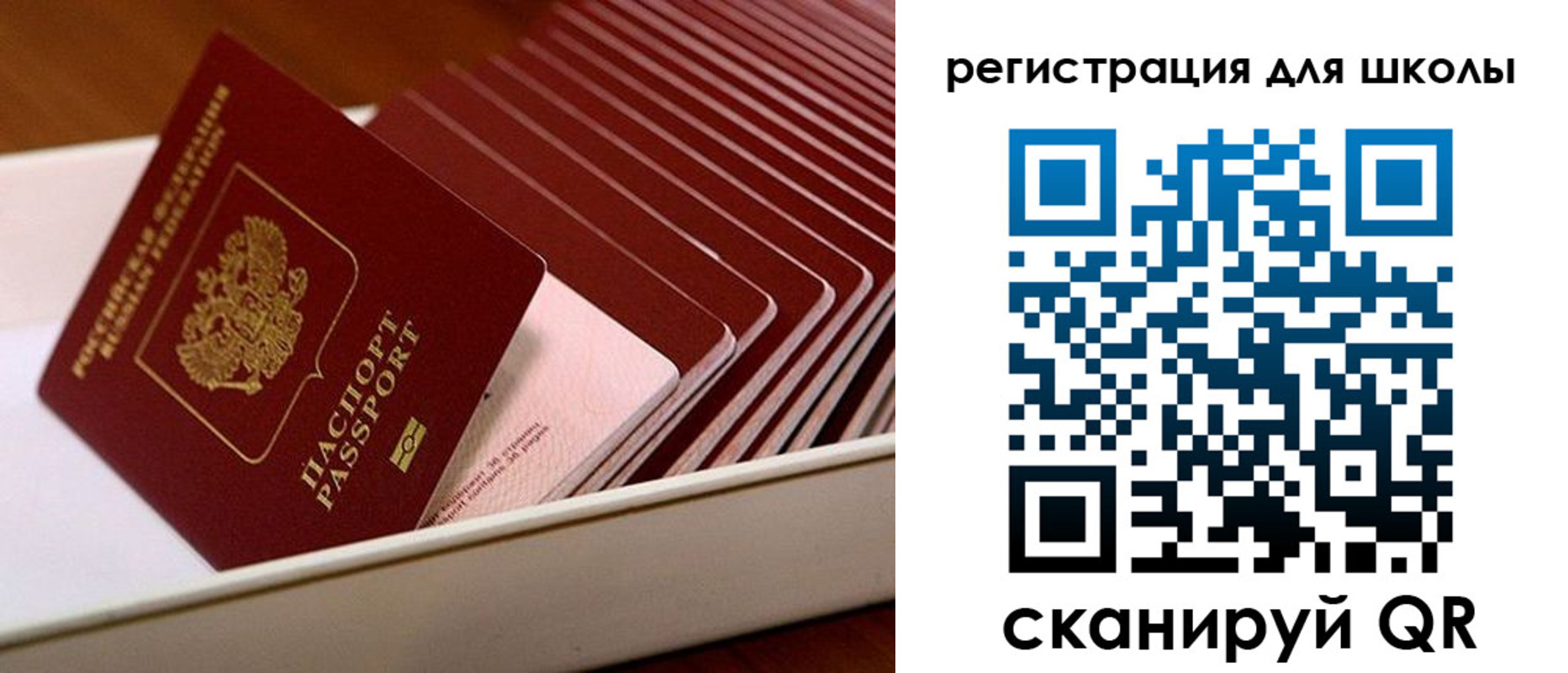 прописка гарантия в Павлово